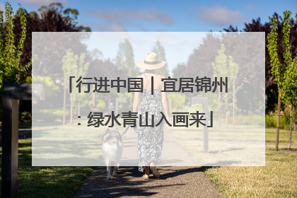 行进中国｜宜居锦州：绿水青山入画来